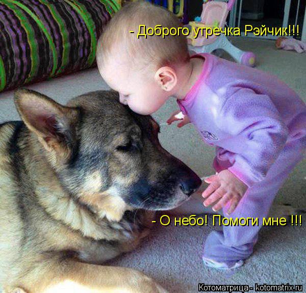 - Доброго утречка Рэйчик!!! - О небо! Помоги мне !!!... Котоматрица: - Доброго утречка Рэйчик!!! - О небо! Помоги мне !!!