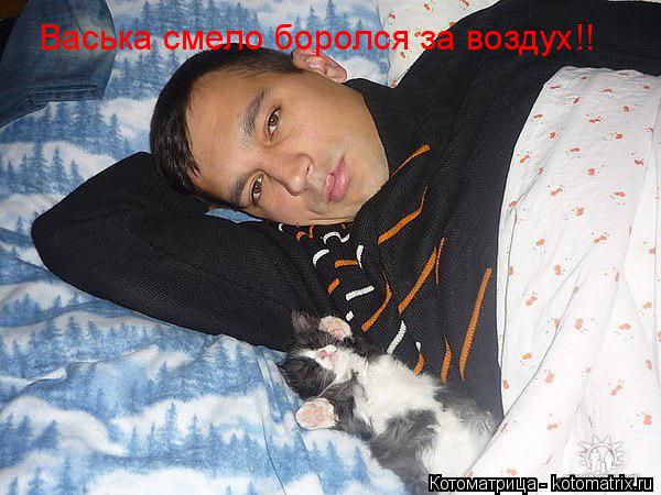 Васька смело боролся за воздух!!... Котоматрица: Васька смело боролся за воздух!!