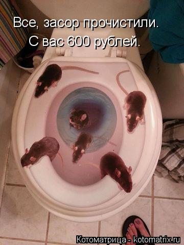 Все, засор прочистили. С вас 600 рублей.... Котоматрица: Все, засор прочистили. С вас 600 рублей.