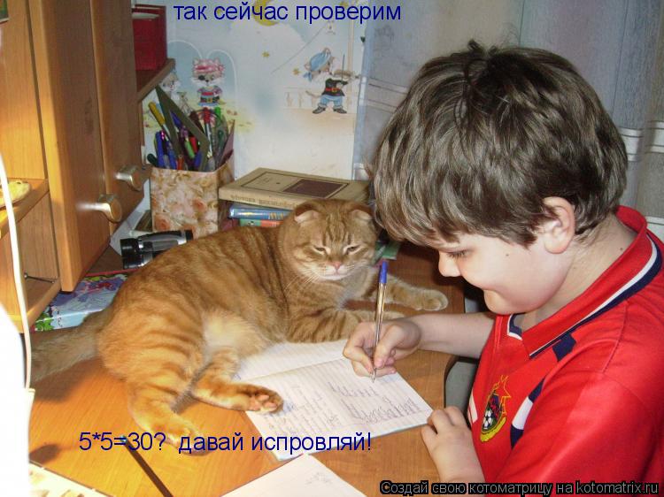 так сейчас проверим 5*5=30? давай испровляй!... Котоматрица: так сейчас проверим 5*5=30? давай испровляй!