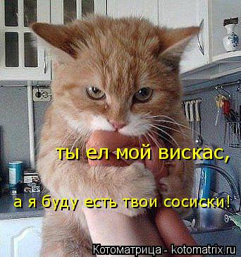 ты ел мой вискас, а я буду есть твои сосиски!... Котоматрица: ты ел мой вискас, а я буду есть твои сосиски!
