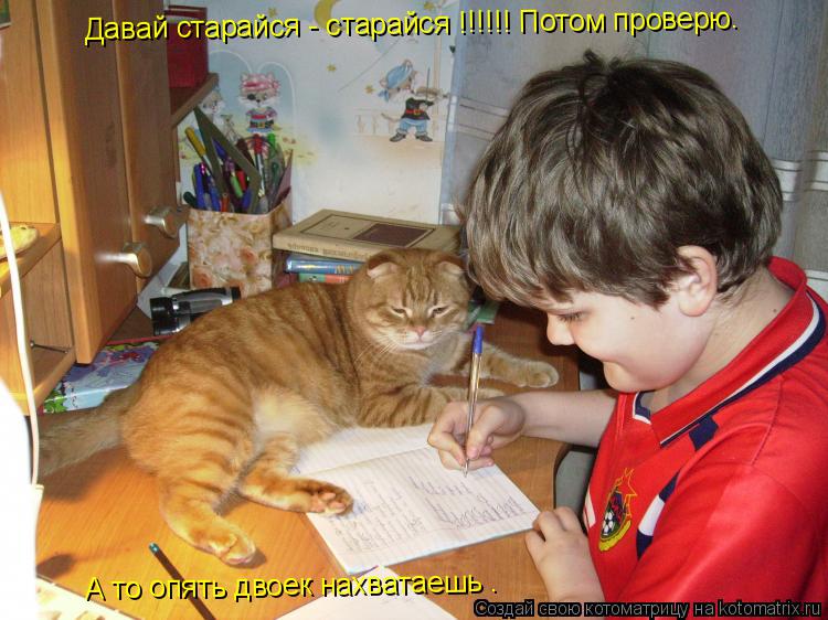 Давай старайся - старайся !!!!!! Потом проверю. А то опять двоек нахватаешь .... Котоматрица: Давай старайся - старайся !!!!!! Потом проверю. А то опять двоек нахватаешь .