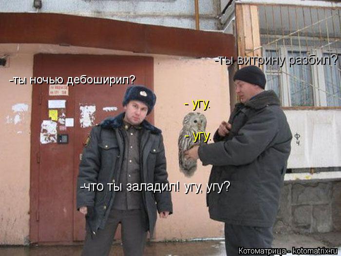 -ты ночью дебоширил? - угу. -ты витрину разбил? - угу. -что ты заладил! угу, угу?... Котоматрица: -ты ночью дебоширил? - угу. -ты витрину разбил? - угу. -что ты заладил! угу, угу?