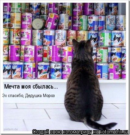 Котоматрица: Мечта моя сбылась...  Эх спасибо, Дедушка Мороз