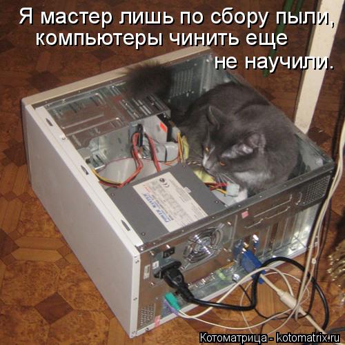 Котоматрица: Я мастер лишь по сбору пыли,   компьютеры чинить еще  не научили.