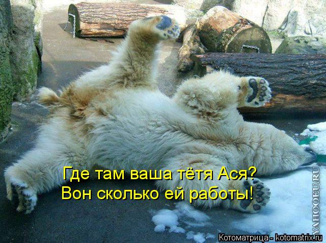 Где там ваша тётя Ася? Вон сколько ей работы!... Котоматрица: Где там ваша тётя Ася? Вон сколько ей работы!