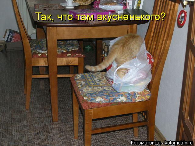 Котоматрица: Так, что там вкусненького?