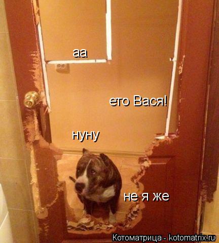 аа ето Вася! нуну не я же... Котоматрица: аа ето Вася! нуну не я же