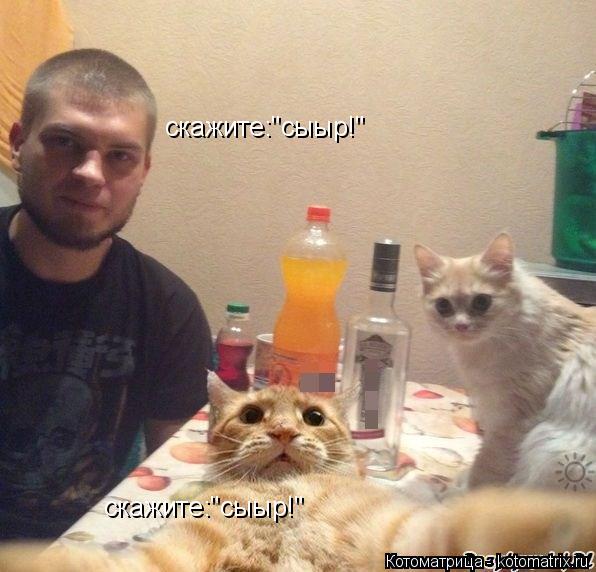 скажите:"сыыр!" скажите:"сыыр!" скажите:"сыыр!"... Котоматрица: скажите:"сыыр!" скажите:"сыыр!" скажите:"сыыр!"