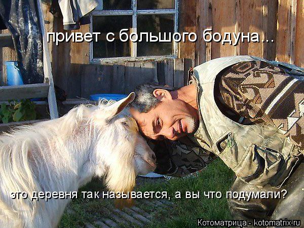 привет с большого бодуна... это деревня так называется, а вы что подумали?... Котоматрица: привет с большого бодуна... это деревня так называется, а вы что подумали?