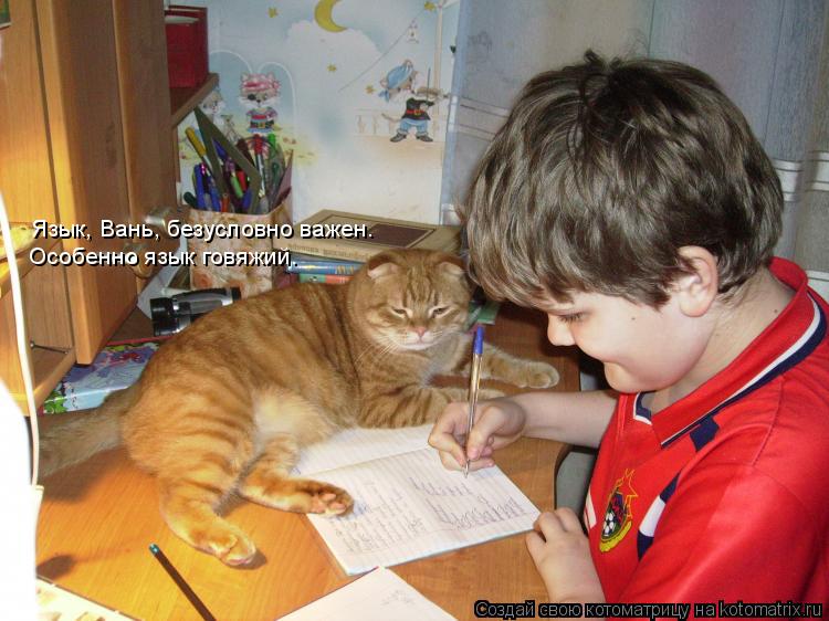 Язык, Вань, безусловно важен. Особенно язык говяжий.... Котоматрица: Язык, Вань, безусловно важен. Особенно язык говяжий.