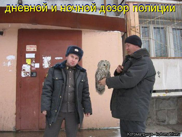 дневной и ночной дозор полиции дневной и ночной дозор полиции... Котоматрица: дневной и ночной дозор полиции дневной и ночной дозор полиции