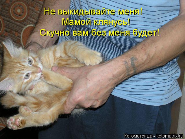 Котоматрица: Не выкидывайте меня! Мамой клянусь! Скучно вам без меня будет!