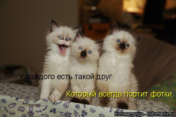 У каждого есть такой друг Который всегда портит фотки.... Котоматрица: У каждого есть такой друг Который всегда портит фотки.