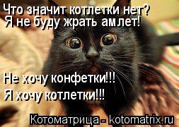 Котоматрица: Что значит котлетки нет? Я не буду жрать амлет! Не хочу конфетки!!! Я хочу котлетки!!!