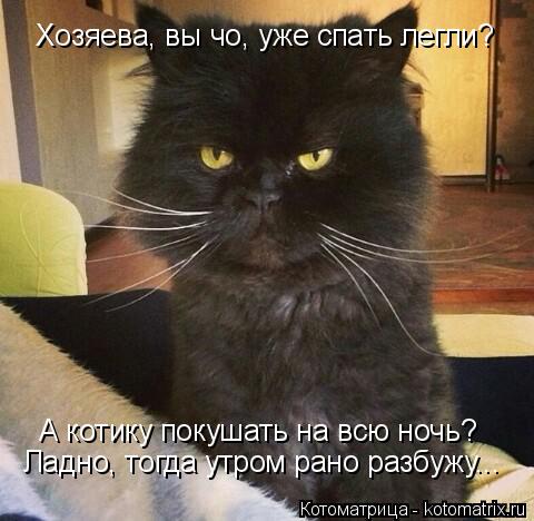 Котоматрица: Хозяева, вы чо, уже спать легли? А котику покушать на всю ночь? Ладно, тогда утром рано разбужу...