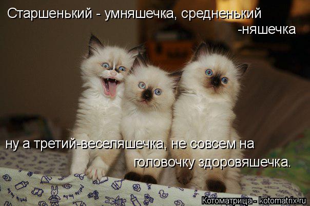 ну а третий-веселяшечка, не совсем на Старшенький - умняшечка, средненький -няшечка головочку здоровя... Котоматрица: ну а третий-веселяшечка, не совсем на Старшенький - умняшечка, средненький -няшечка головочку здоровяшечка.