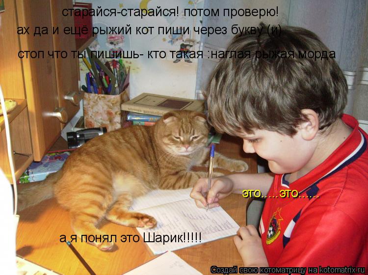 старайся-старайся! потом проверю! ах да и ещё рыжий кот пиши через букву (и) это.....это...... стоп ч... Котоматрица: старайся-старайся! потом проверю! ах да и ещё рыжий кот пиши через букву (и) это.....это...... стоп что ты пишишь- кто такая :наглая рыжая морда а я