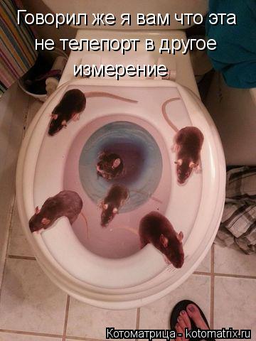 Говорил же я вам что эта не телепорт в другое измерение... Котоматрица: Говорил же я вам что эта не телепорт в другое измерение