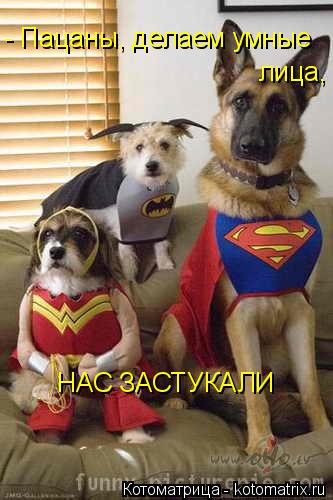 - Пацаны, делаем умные лица, НАС ЗАСТУКАЛИ... Котоматрица: - Пацаны, делаем умные лица, НАС ЗАСТУКАЛИ