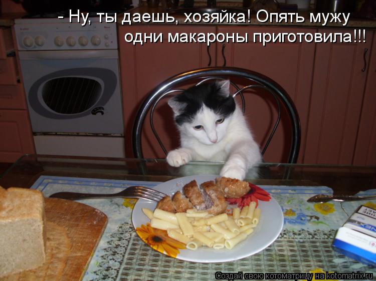 Котоматрица: - Ну, ты даешь, хозяйка! Опять мужу одни макароны приготовила!!!