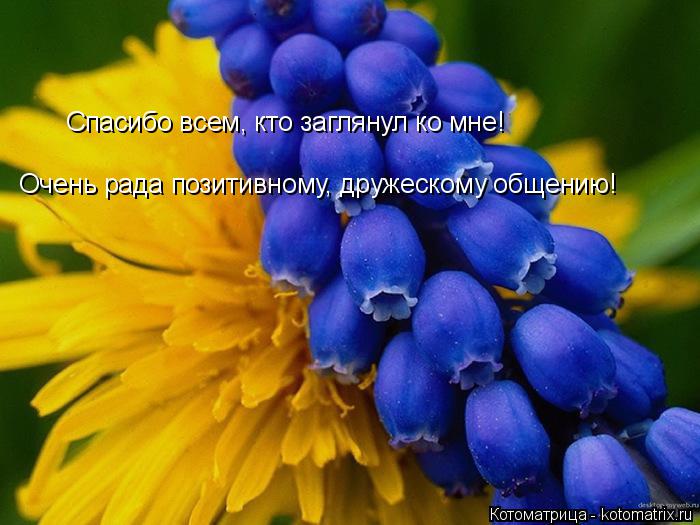 Спасибо всем, кто заглянул ко мне! Очень рада позитивному, дружескому общению!... Котоматрица: Спасибо всем, кто заглянул ко мне! Очень рада позитивному, дружескому общению!