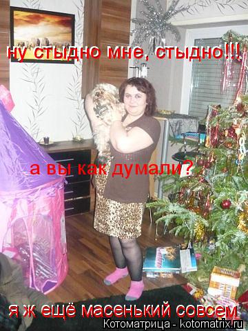 Котоматрица: ну стыдно мне, стыдно!!! я ж ещё масенький совсем я ж ещё масенький совсем ну стыдно мне, стыдно!!! а вы как думали?