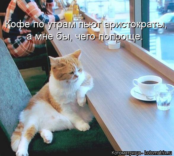 Кофе по утрам пьют аристократы, а мне бы, чего попроще.... Котоматрица: Кофе по утрам пьют аристократы, а мне бы, чего попроще.