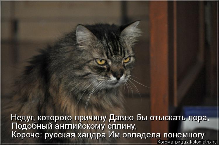 Котоматрица: Недуг, которого причину Давно бы отыскать пора,  Им овладела понемногу  Подобный английскому сплину,   Короче: русская хандра