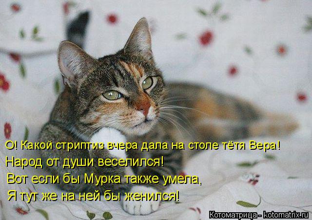 О! Какой стриптиз вчера дала на столе тётя Вера! Народ от души веселился! Вот если бы Мурка также уме... Котоматрица: О! Какой стриптиз вчера дала на столе тётя Вера! Народ от души веселился! Вот если бы Мурка также умела, Я тут же на ней бы женился!