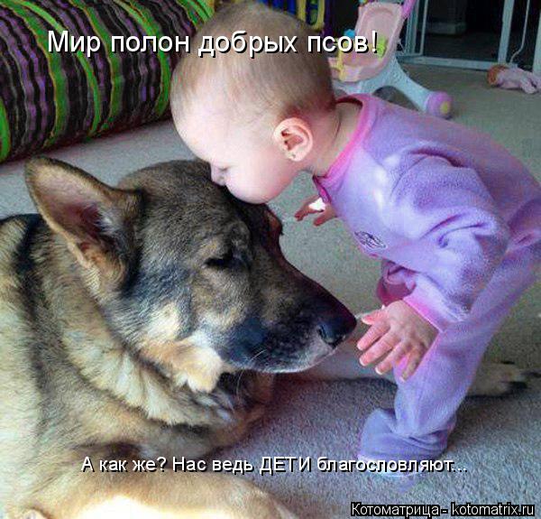 Мир полон добрых псов! А как же? Нас ведь ДЕТИ благословляют...... Котоматрица: Мир полон добрых псов! А как же? Нас ведь ДЕТИ благословляют...