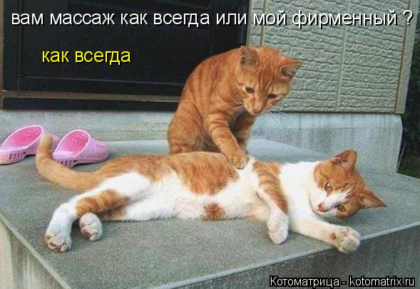 как всегда вам массаж как всегда или мой фирменный ?... Котоматрица: как всегда вам массаж как всегда или мой фирменный ?
