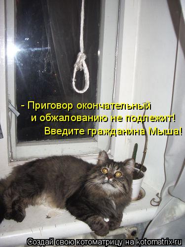 - Приговор окончательный и обжалованию не подлежит! Введите гражданина Мыша!... Котоматрица: - Приговор окончательный и обжалованию не подлежит! Введите гражданина Мыша!