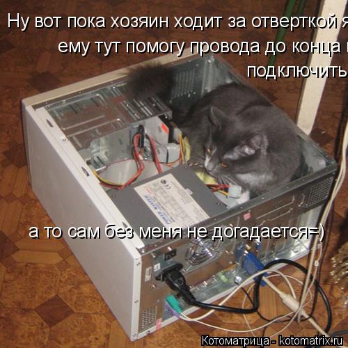 Ну вот пока хозяин ходит за отверткой я ему тут помогу провода до конца подключить а то сам без меня ... Котоматрица: Ну вот пока хозяин ходит за отверткой я ему тут помогу провода до конца подключить а то сам без меня не догадается=) ему тут помогу провода д