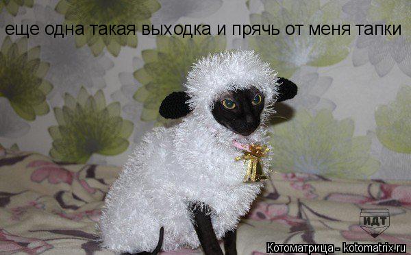 еще одна такая выходка и прячь от меня тапки... Котоматрица: еще одна такая выходка и прячь от меня тапки