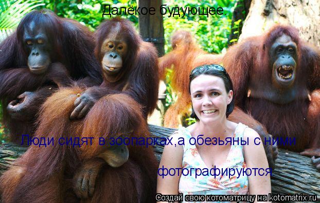 Далёкое будующее. Люди сидят в зоопарках,а обезьяны с ними фотографируются.... Котоматрица: Далёкое будующее. Люди сидят в зоопарках,а обезьяны с ними фотографируются.