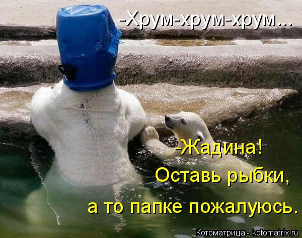 Котоматрица: -Хрум-хрум-хрум... -Жадина! Оставь рыбки, а то папке пожалуюсь.