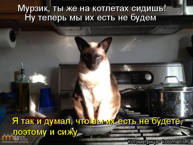 Котоматрица: Мурзик, ты же на котлетах сидишь! Ну теперь мы их есть не будем Я так и думал, что вы их есть не будете, поэтому и сижу