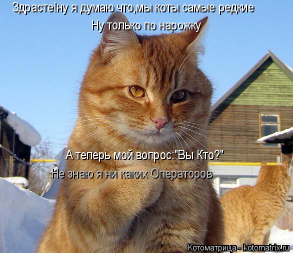 Котоматрица: Здрасте!ну я думаю что,мы коты самые редкие Ну только по нарожку А теперь мой вопрос:"Вы Кто?" Не знаю я ни каких Операторов