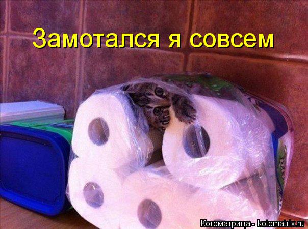 Замотался я совсем... Котоматрица: Замотался я совсем