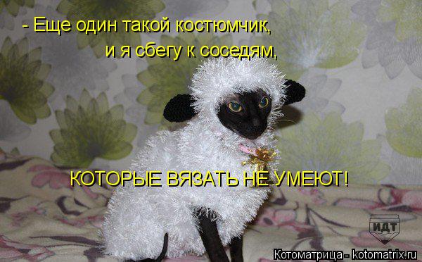 - Еще один такой костюмчик, и я сбегу к соседям, КОТОРЫЕ ВЯЗАТЬ НЕ УМЕЮТ!... Котоматрица: - Еще один такой костюмчик, и я сбегу к соседям, КОТОРЫЕ ВЯЗАТЬ НЕ УМЕЮТ!