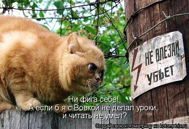 Ни фига себе! А если б я с Вовкой не делал уроки, и читать не умел?... Котоматрица: Ни фига себе! А если б я с Вовкой не делал уроки, и читать не умел?
