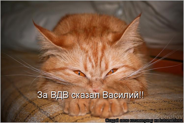 Котоматрица: За ВДВ сказал Василий!!