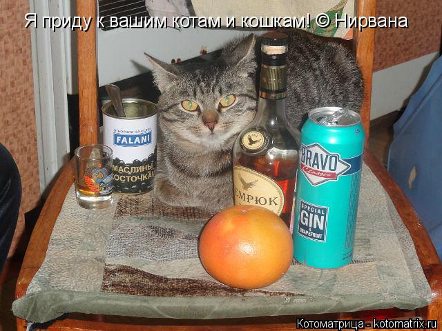 Я приду к вашим котам и кошкам! © Нирвана... Котоматрица: Я приду к вашим котам и кошкам! © Нирвана
