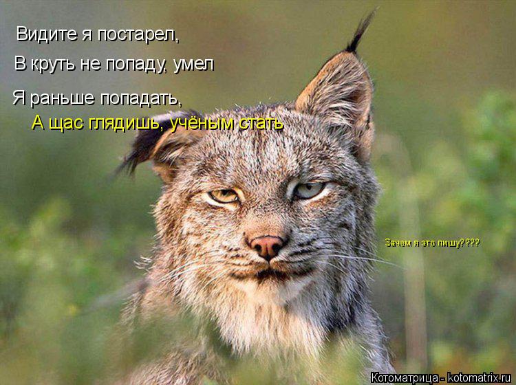 Котоматрица: Видите я постарел, В круть не попаду, умел Я раньше попадать, А щас глядишь, учёным стать Зачем я это пишу????
