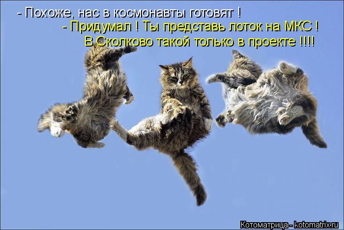 Котоматрица: - Похоже, нас в космонавты готовят ! - Придумал ! Ты представь лоток на МКС ! В Сколково такой только в проекте !!!!