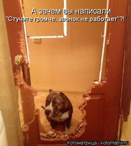 А зачем вы написали "Стучите громче, звонок не работает"?!... Котоматрица: А зачем вы написали "Стучите громче, звонок не работает"?!