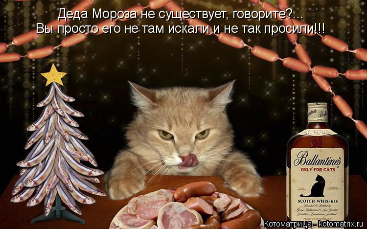 Деда Мороза не существует, говорите?... Вы просто его не там искали и не так просили!!!... Котоматрица: Деда Мороза не существует, говорите?... Вы просто его не там искали и не так просили!!!