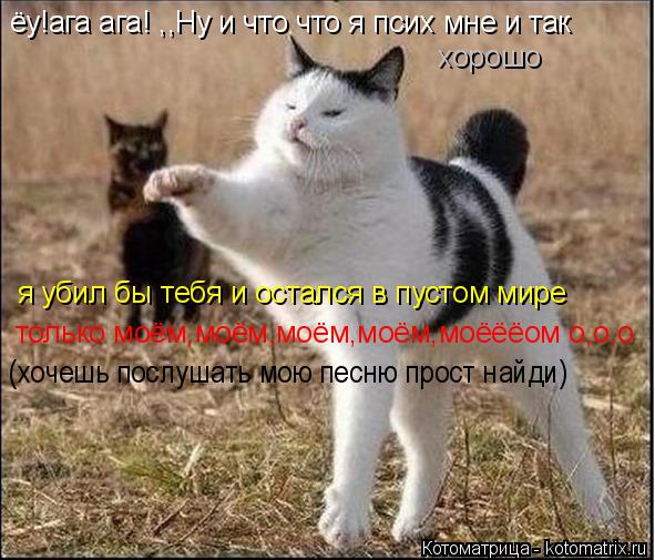 ёу!ага ага! ,,Ну и что что я псих мне и так хорошо я убил бы тебя и остался в пустом мире только моём... Котоматрица: ёу!ага ага! ,,Ну и что что я псих мне и так хорошо я убил бы тебя и остался в пустом мире только моём,моём,моём,моём,моёёёом о,о,о (хочешь послуш