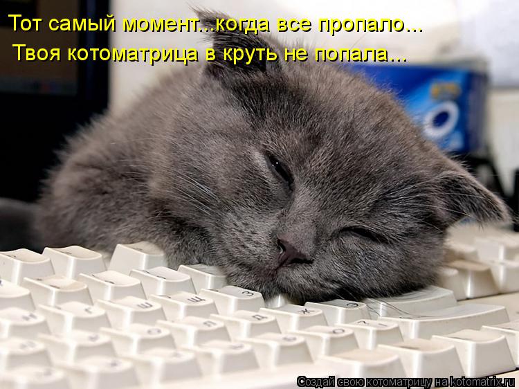 Котоматрица: Тот самый момент...когда все пропало... Твоя котоматрица в круть не попала...